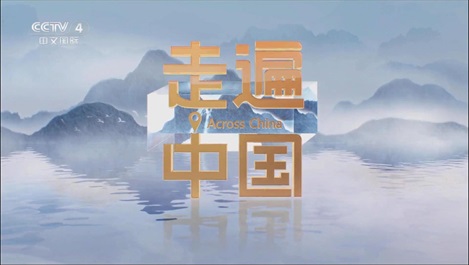 媒体聚焦：央视《新质引擎》揭秘上海Z6官网匠造全球最大乐高乐园